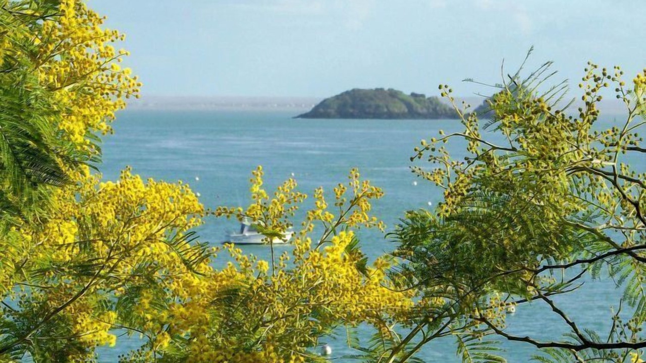 Photo of Others in Cancale