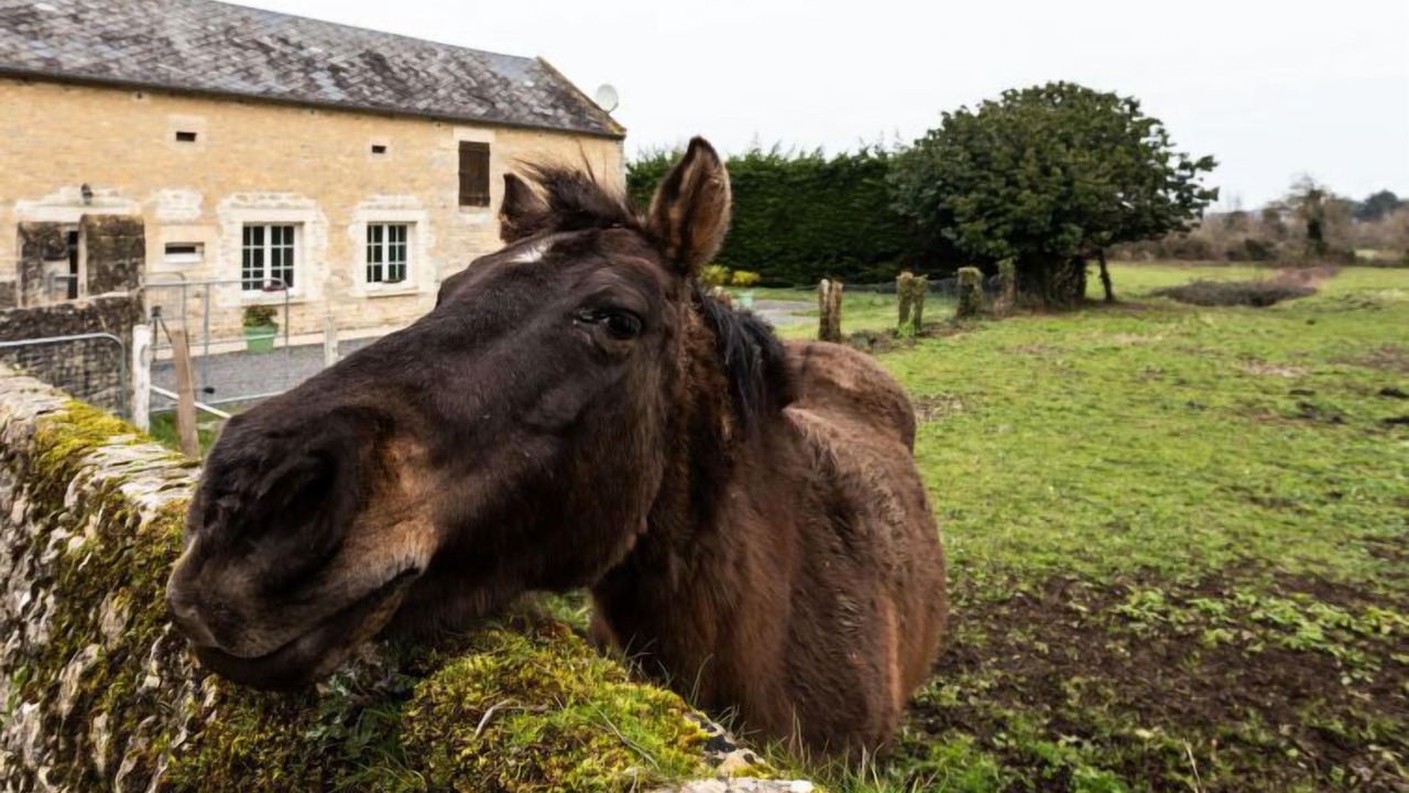 Photo of Outdoor in Commes