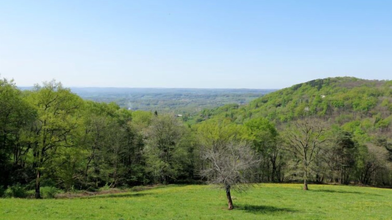 Photo of Outdoor in Meyssac