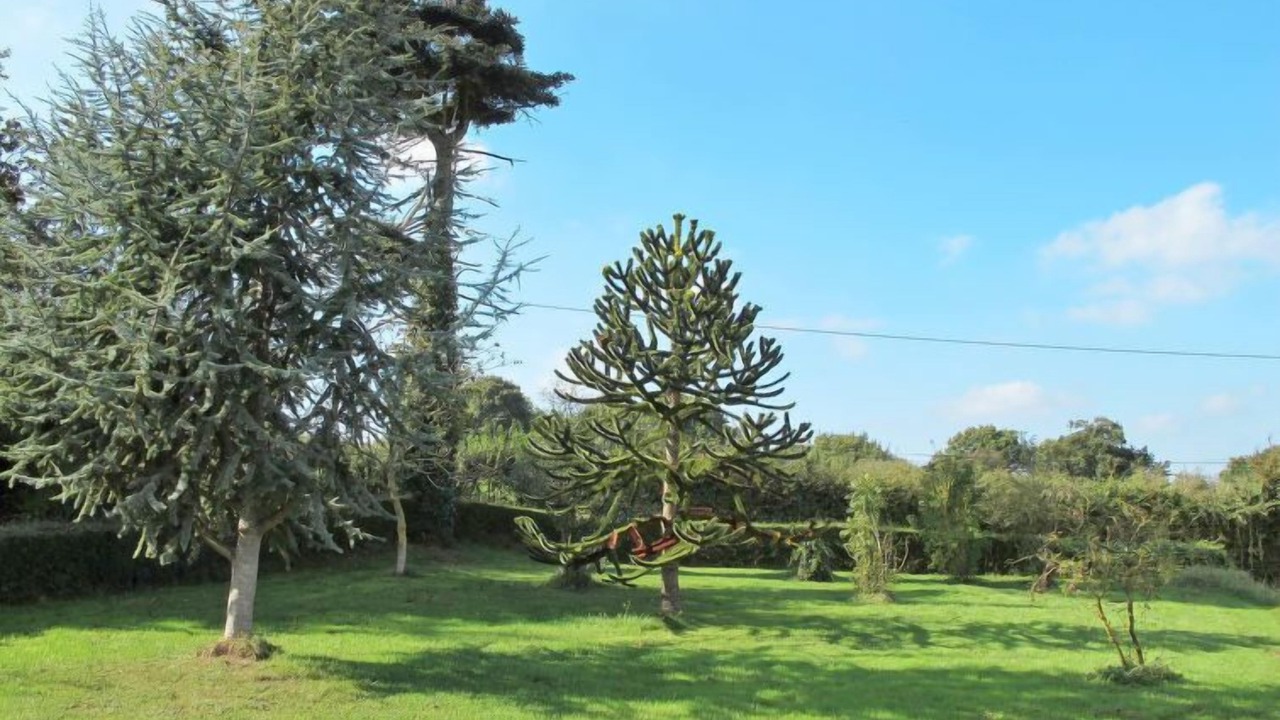 Photo of Outdoor in Saint-Lo-d'Ourville