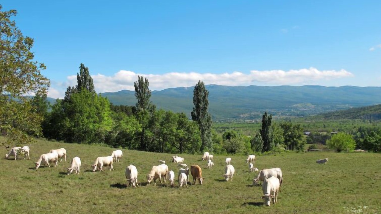 Photo of Outdoor in Limans