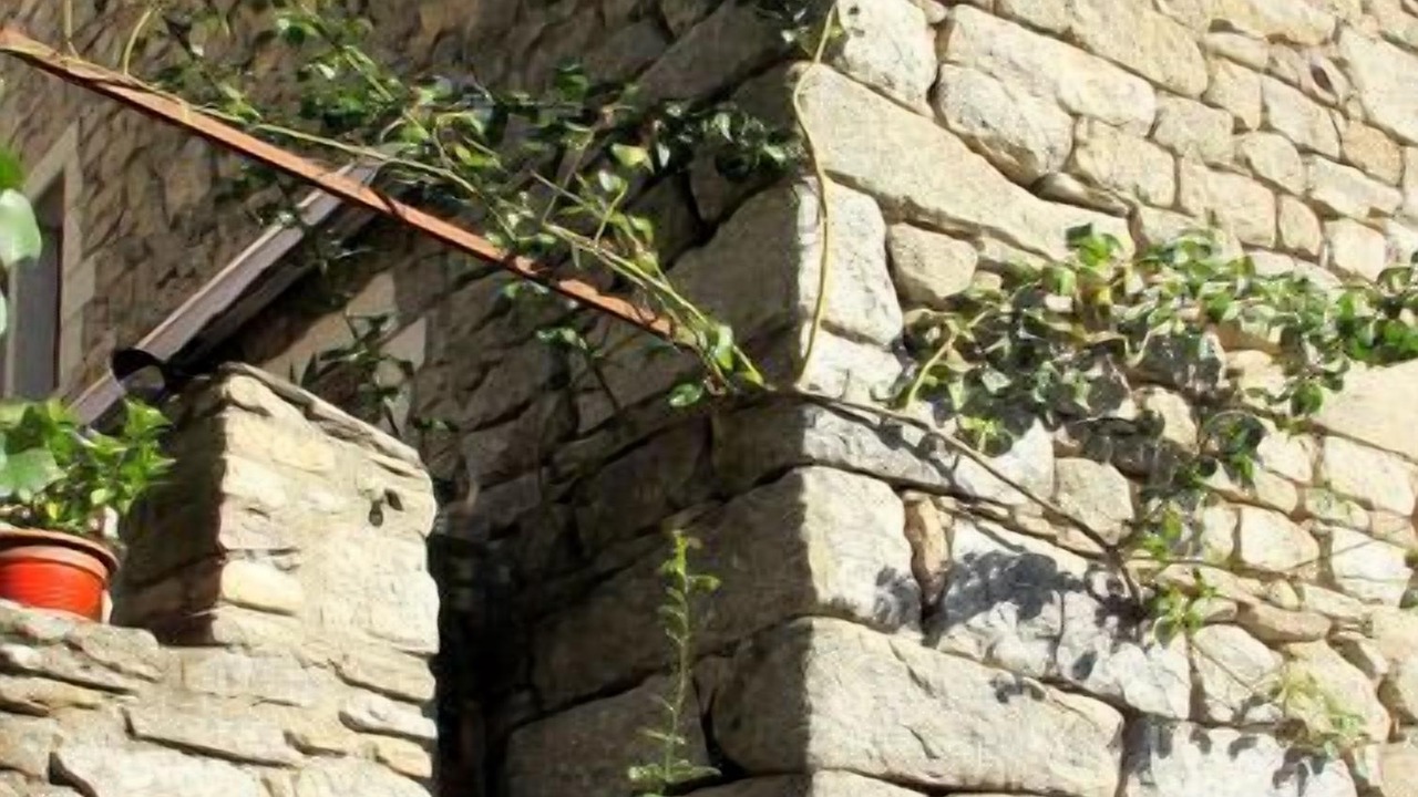 Photo of Outdoor in Sainte-Marguerite-Lafigere