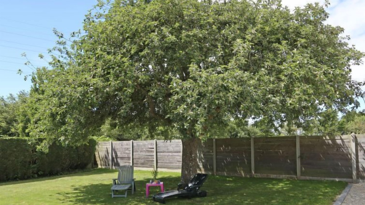 Photo of Outdoor in Tregueux