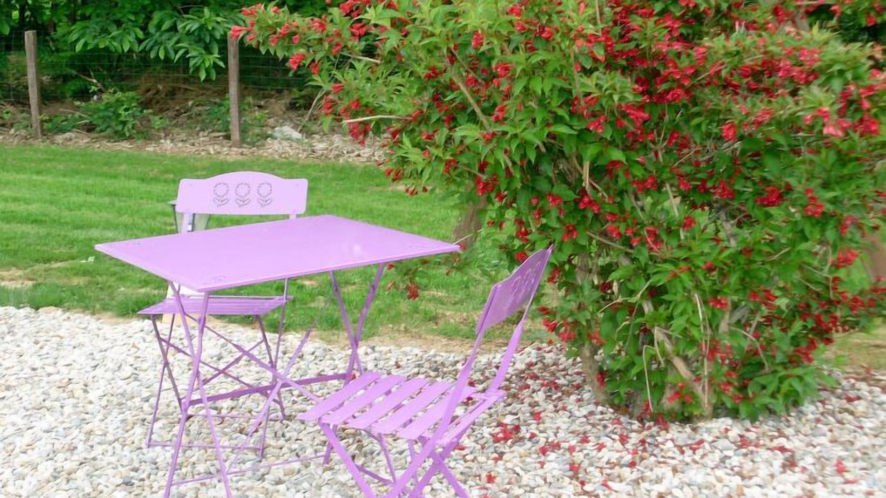 Photo of Outdoor in Blanquefort-sur-Briolance