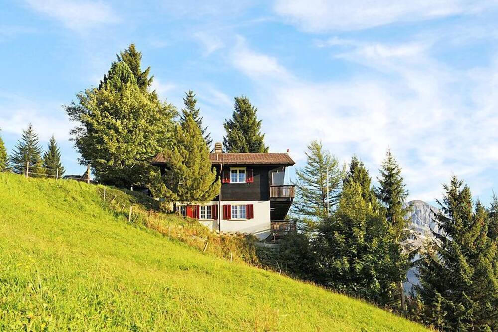 Photo of Others in Lenk