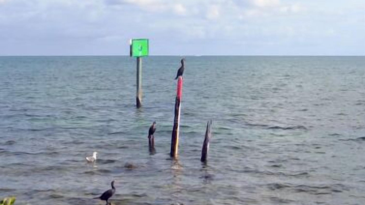Photo of Others in Tavernier