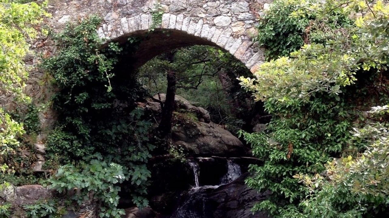 Photo of Outdoor in Feliceto