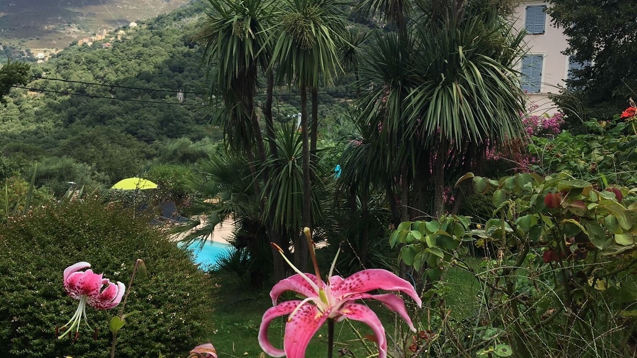 Photo of Outdoor in Feliceto