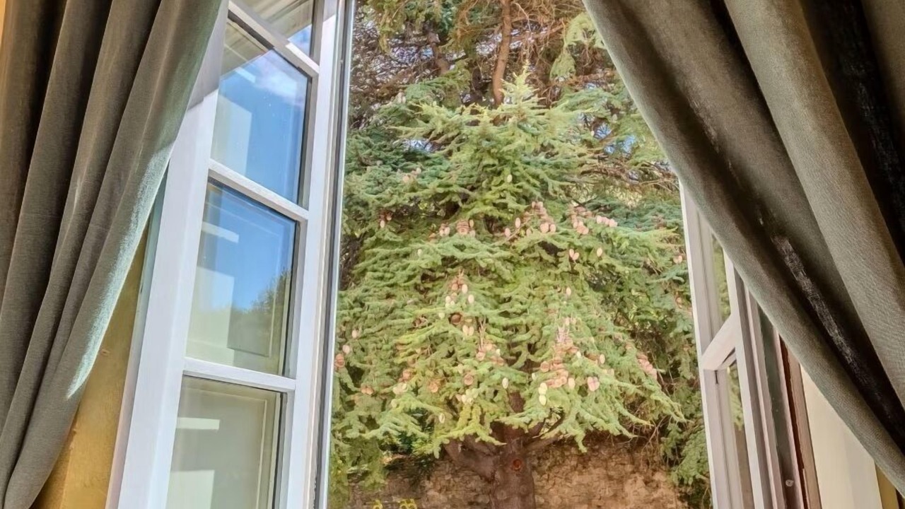 Photo of Bedroom in Feliceto