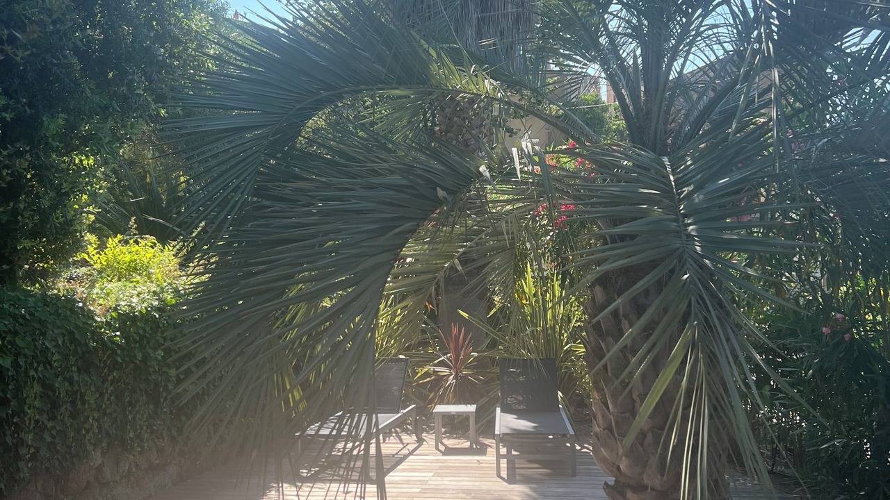 Photo of Outdoor in Feliceto