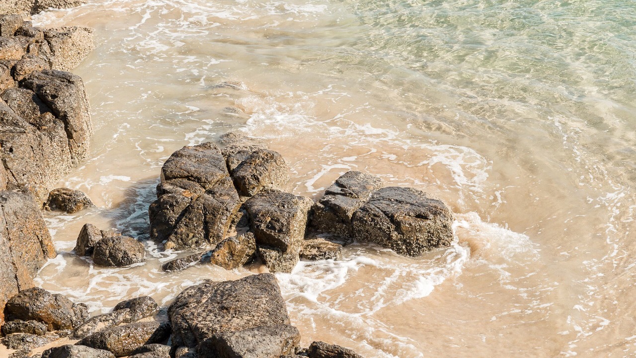 Photo of Others in South West Rocks