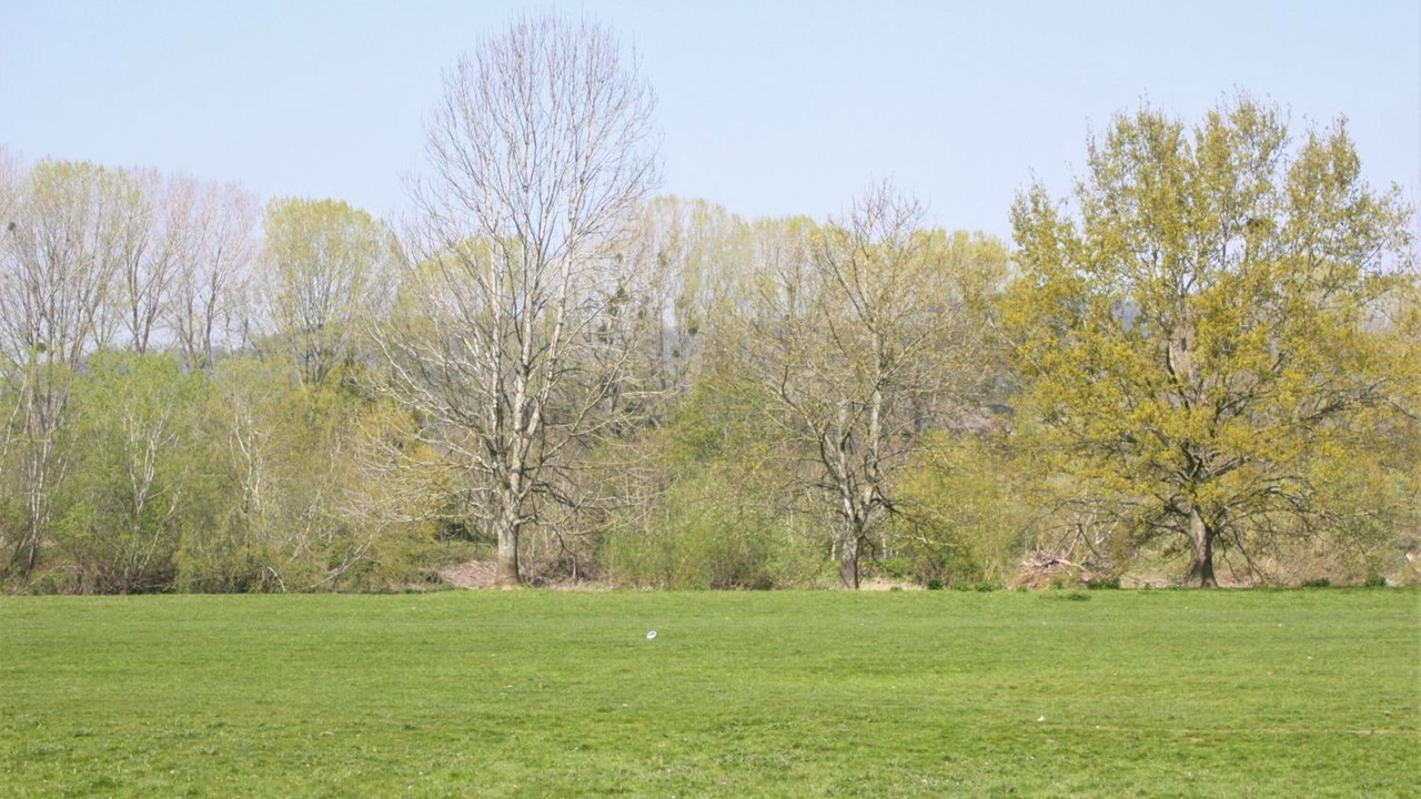 Photo of Outdoor in Glasbury