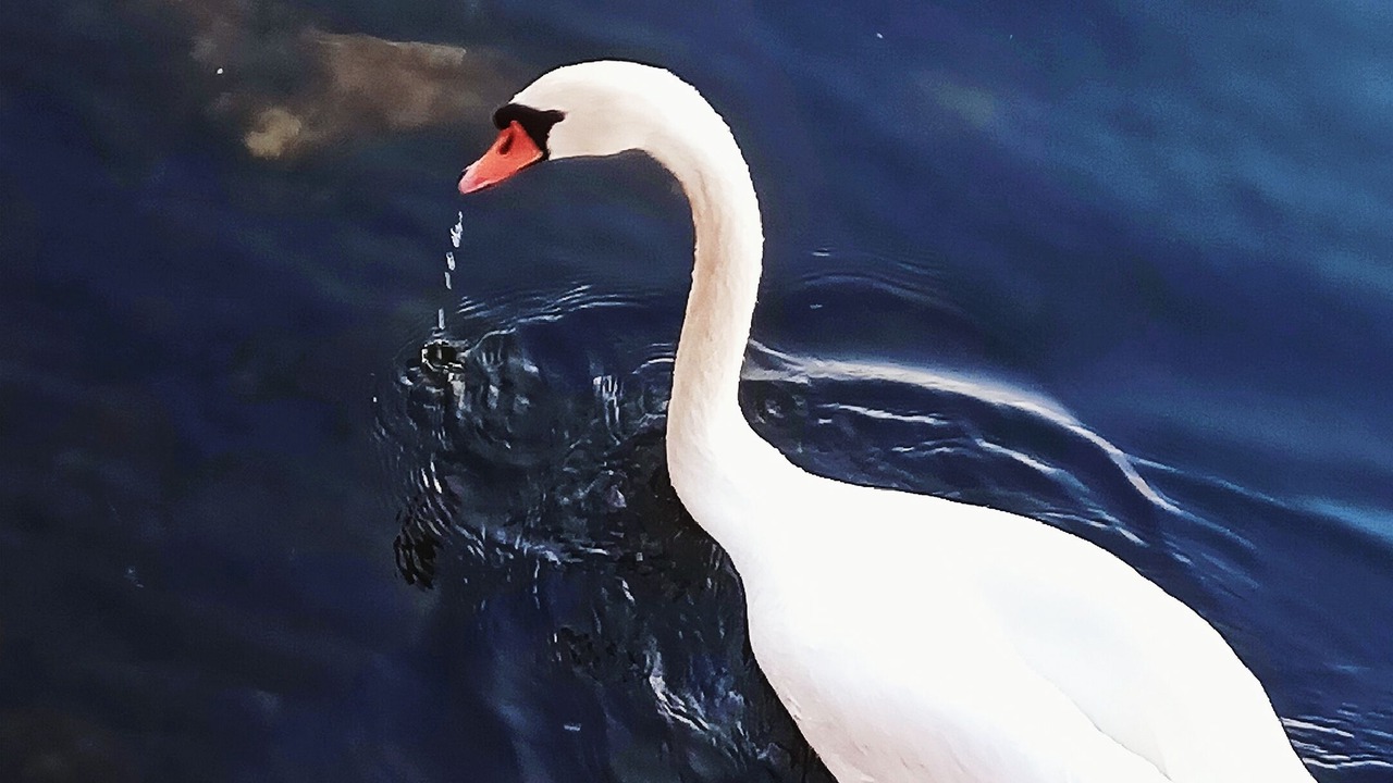 Photo of Others in Glasbury