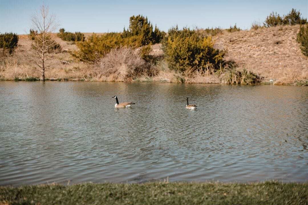Photo of Others in Amarillo