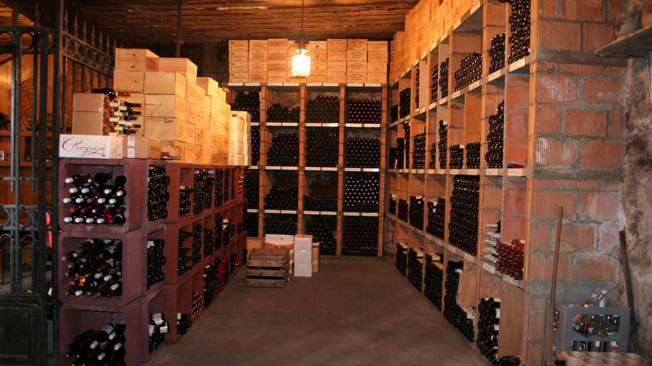 Photo of Others in Dully