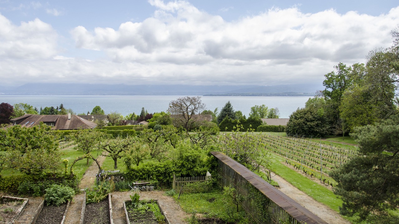 Photo of Outdoor in Dully