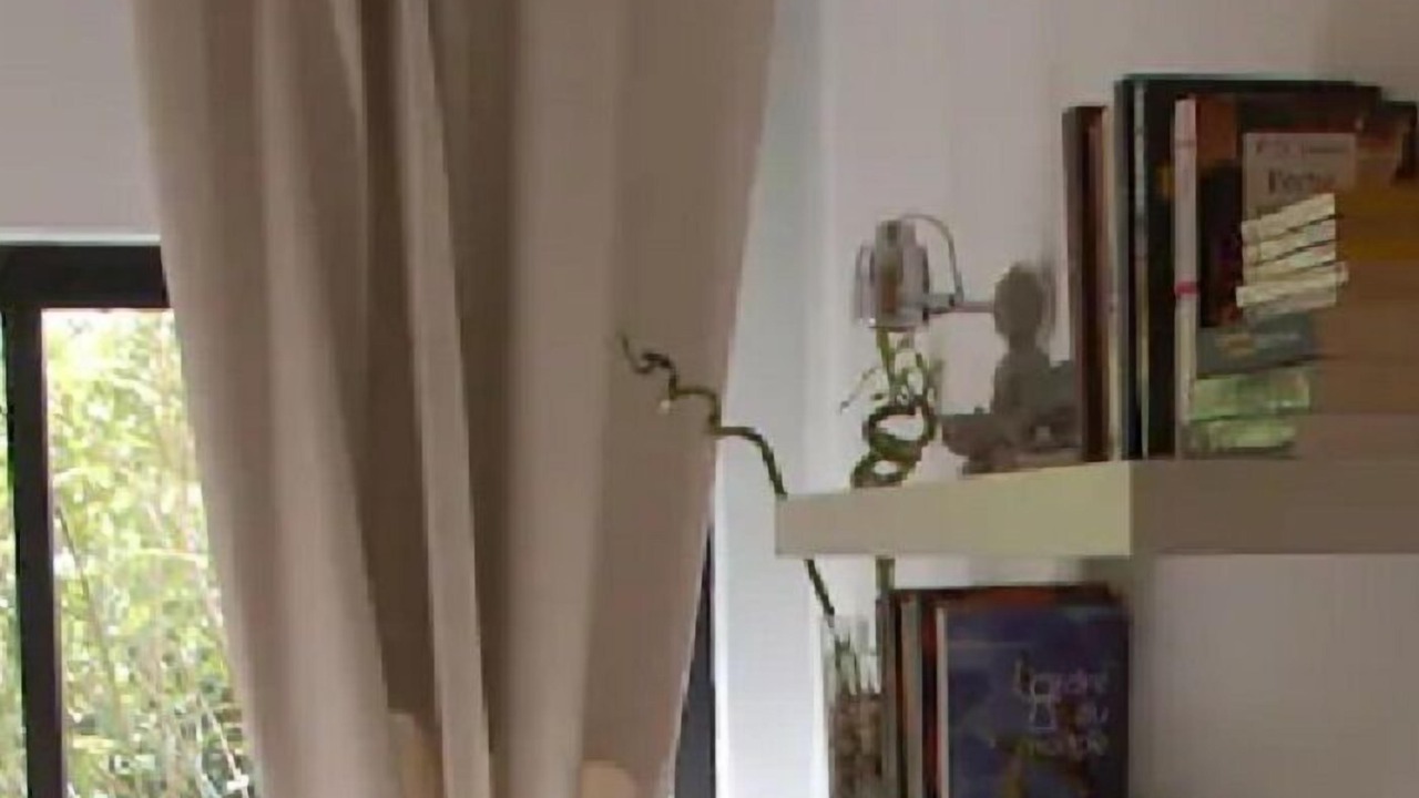 Photo of Bedroom in La Bouilladisse