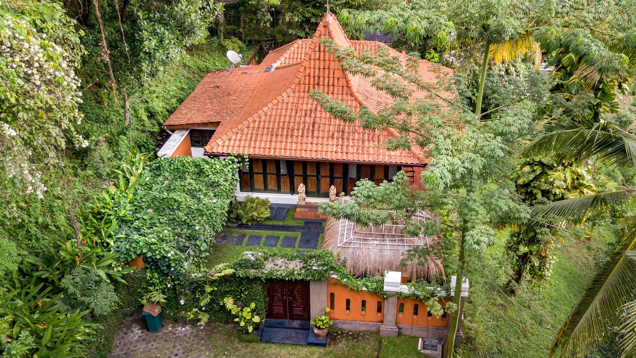Photo of Outdoor in Senggigi