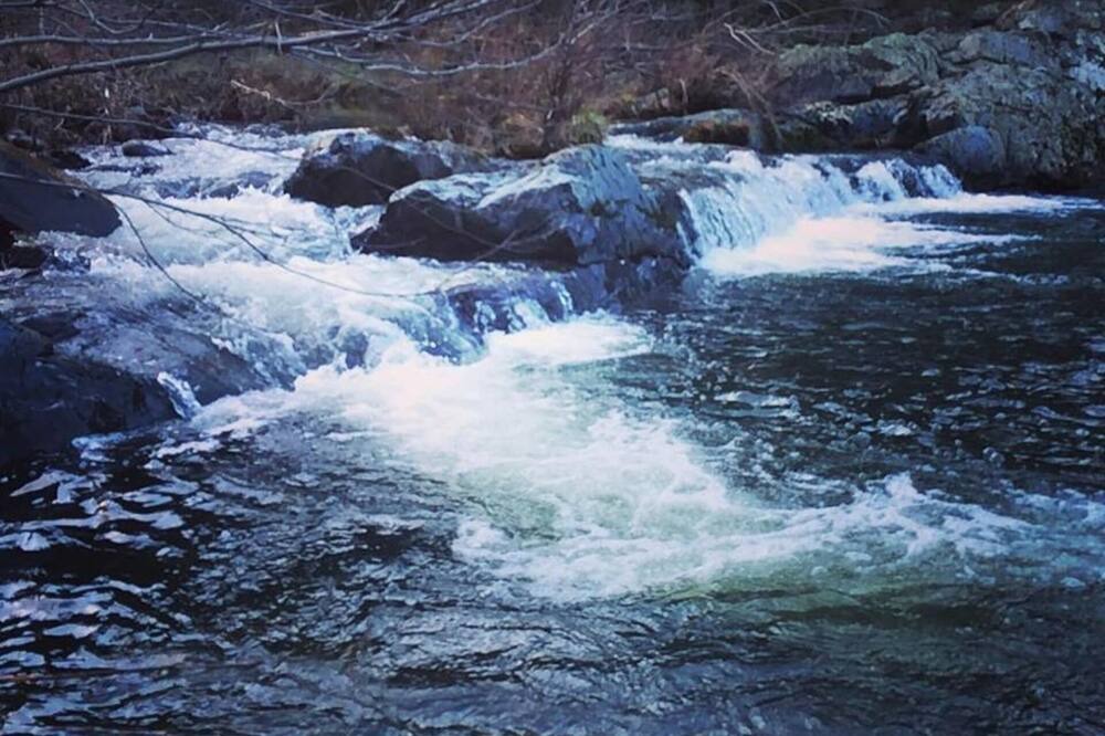 Photo of Others in Penn Valley