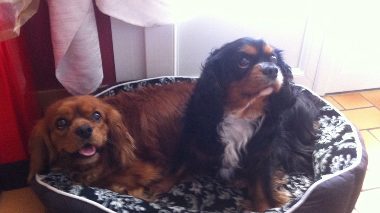 Photo of Others in Evron