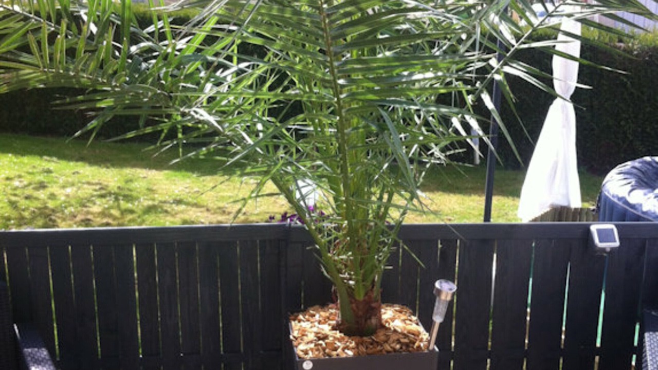 Photo of Patio Balcony in Evron