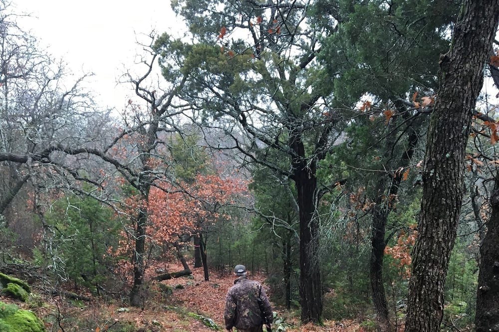 Photo of Outdoor in Palo Pinto