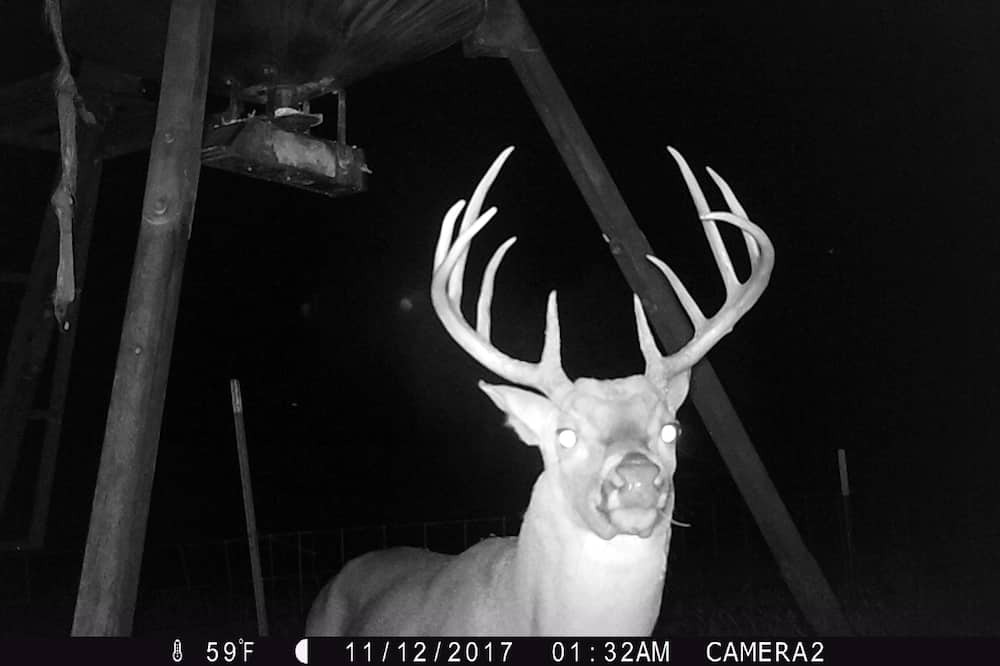 Photo of Others in Palo Pinto