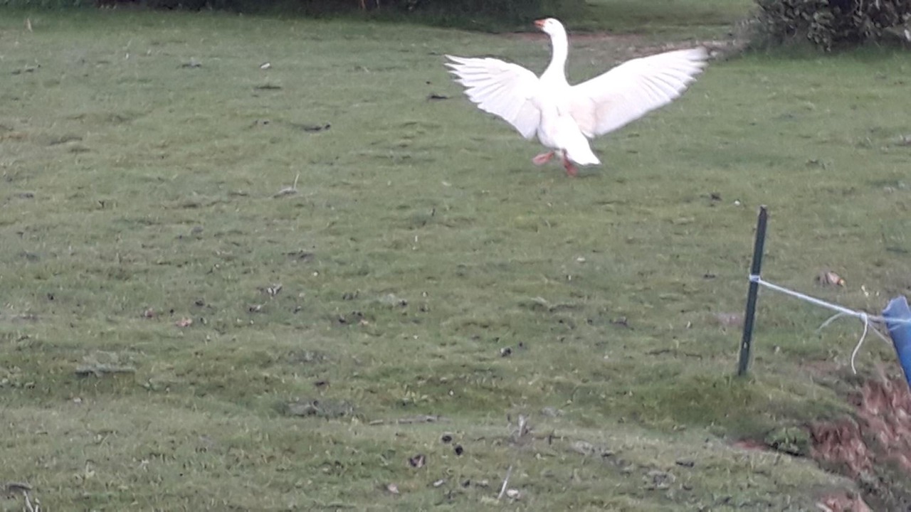 Photo of Outdoor in Martigne-Ferchaud