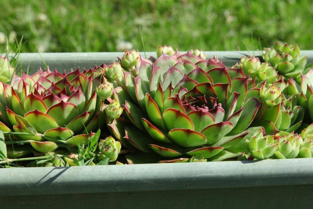 Photo of Outdoor in Martigne-Ferchaud