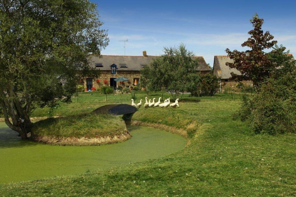 Photo of Outdoor in Martigne-Ferchaud