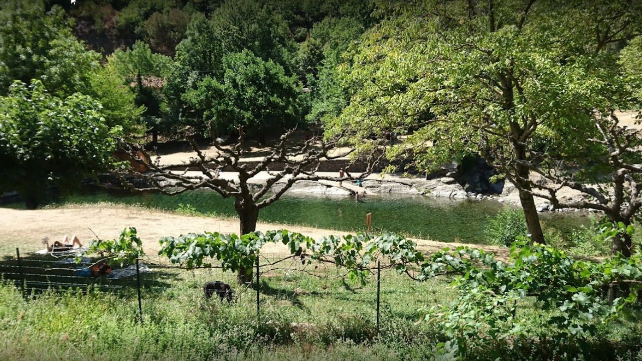 Photo of Others in Valleraugue