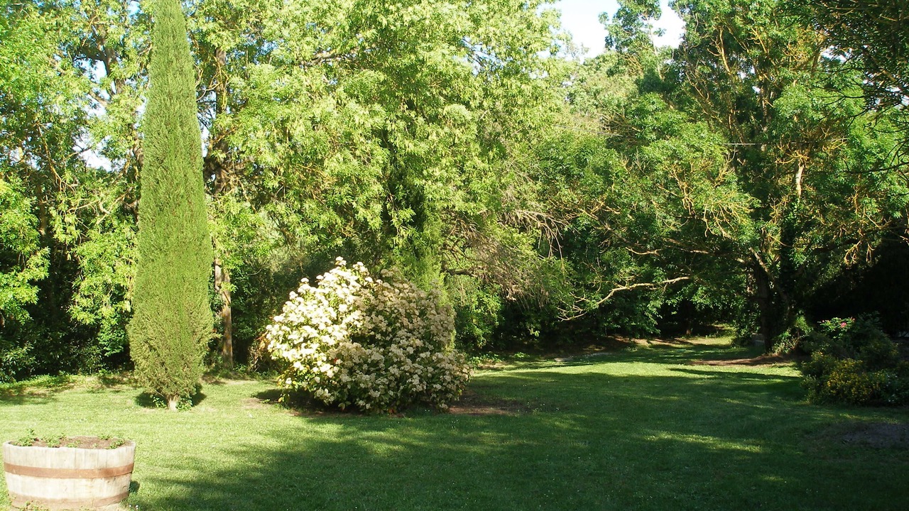 Photo of Outdoor in Soupex