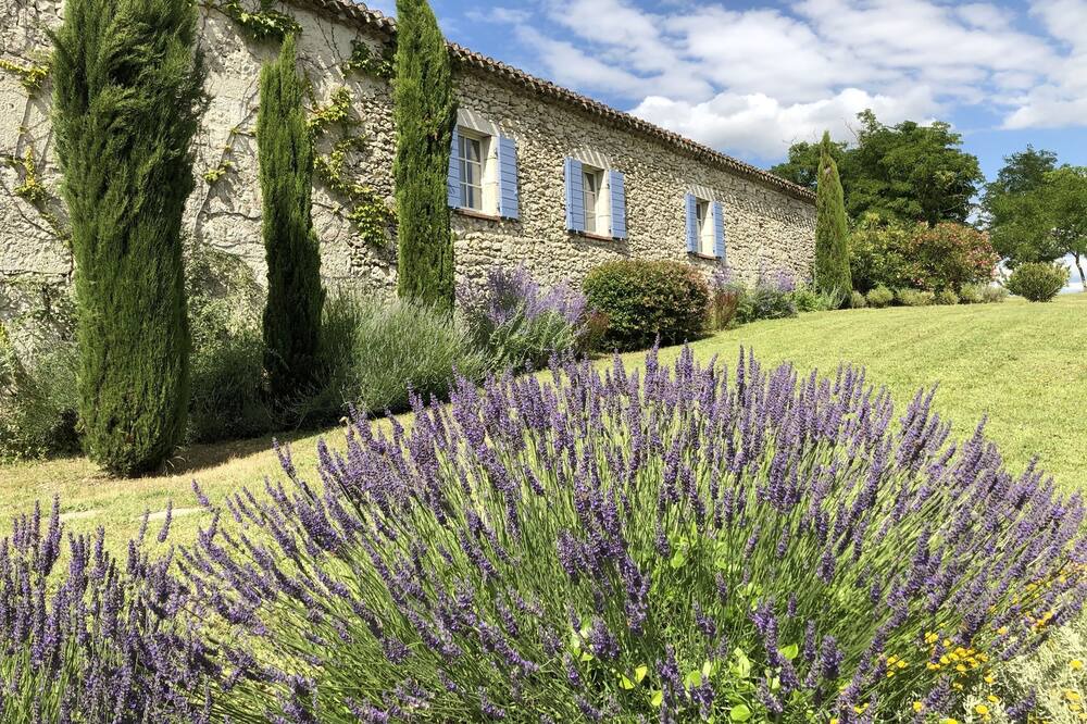Photo of Outdoor in Fauroux