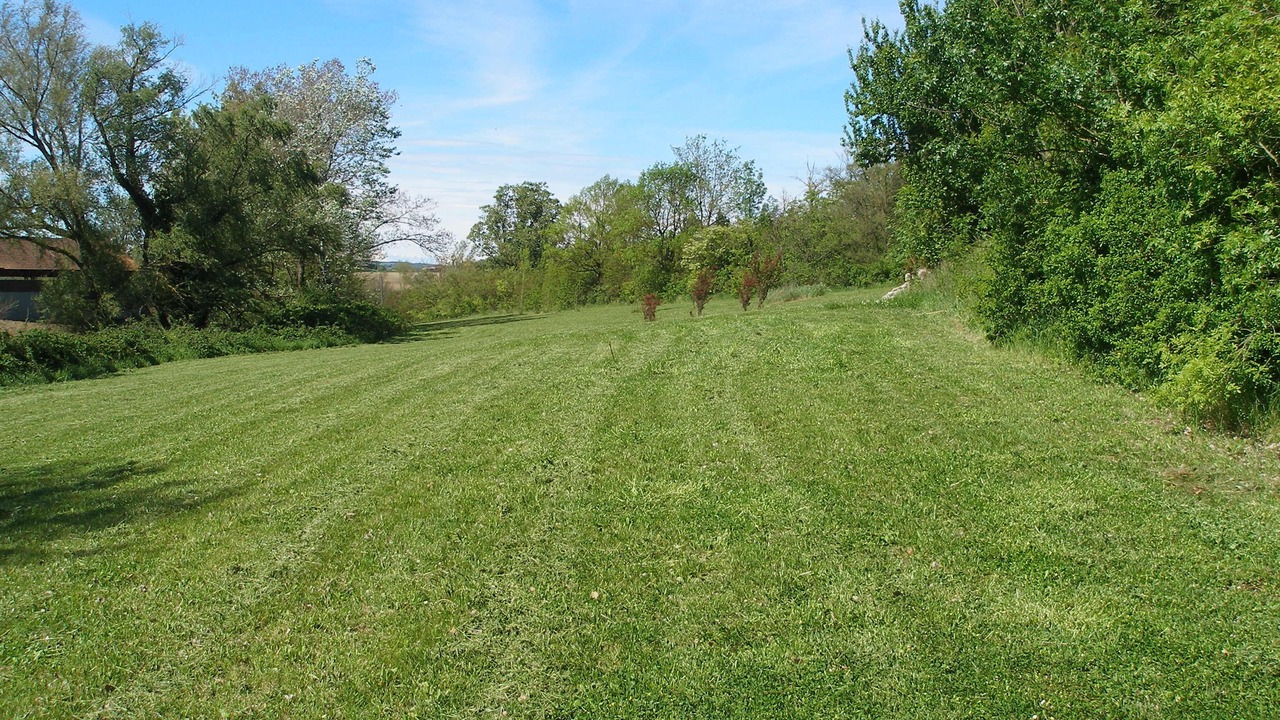 Photo of Outdoor in Soupex