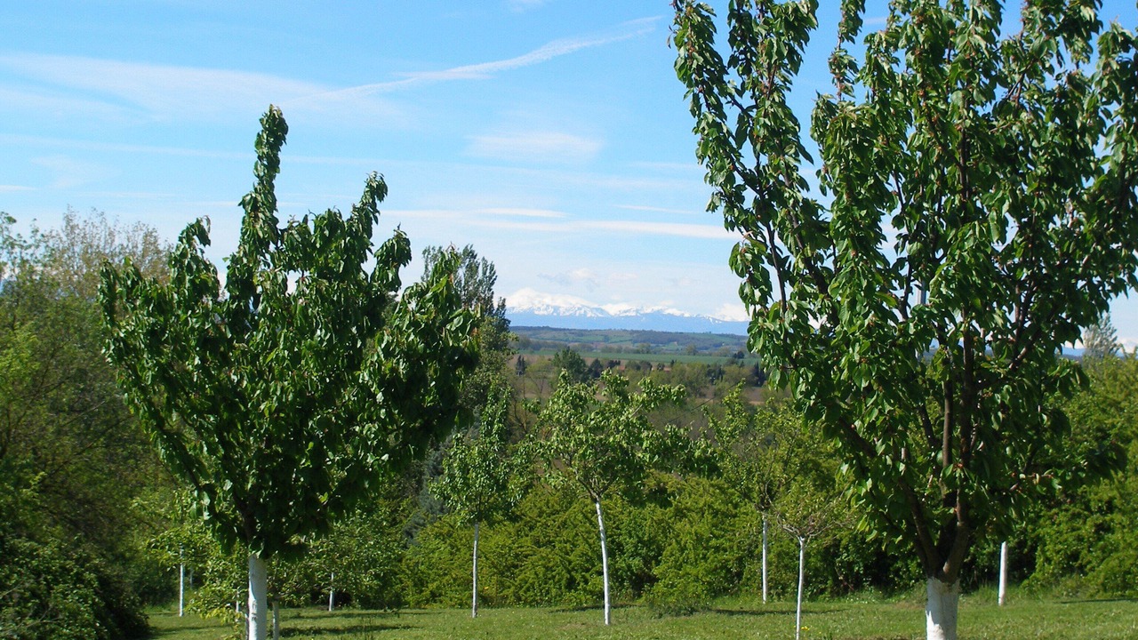 Photo of Outdoor in Soupex