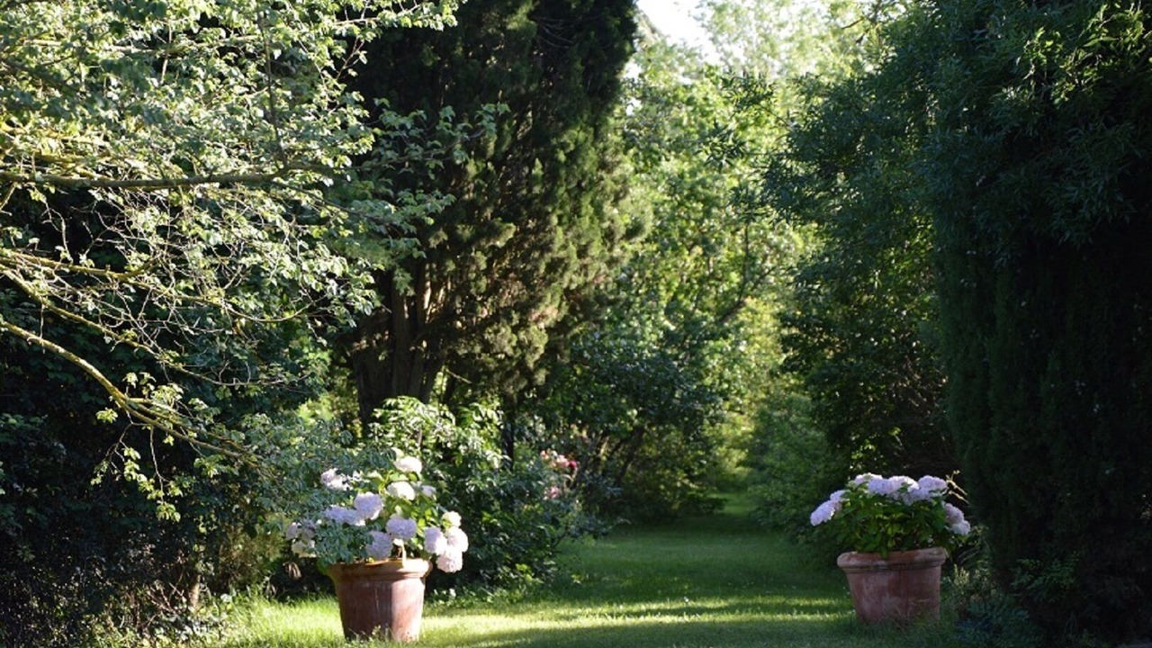 Photo of Outdoor in Soupex