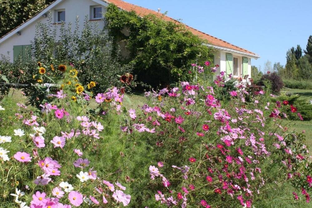 Photo of Outdoor in Lafrancaise