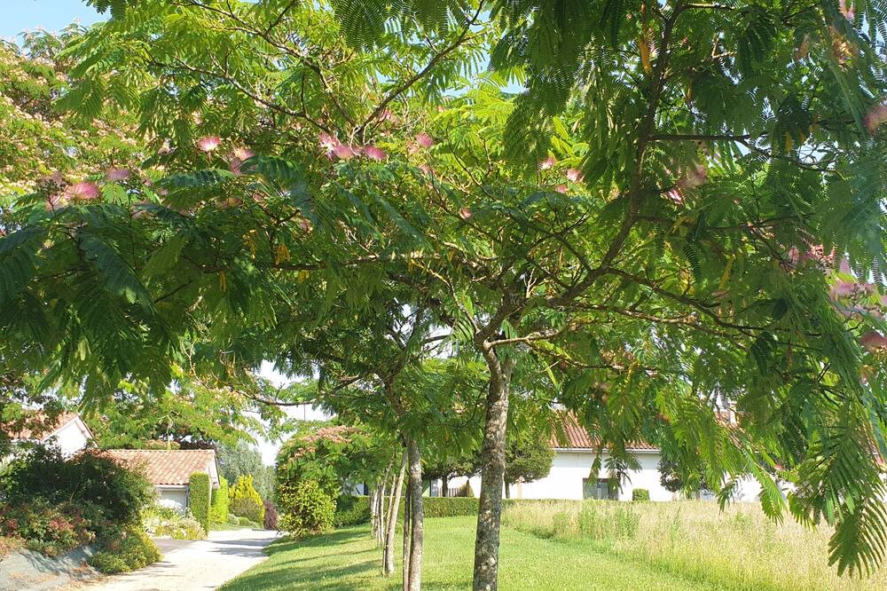 Photo of Outdoor in Lafrancaise