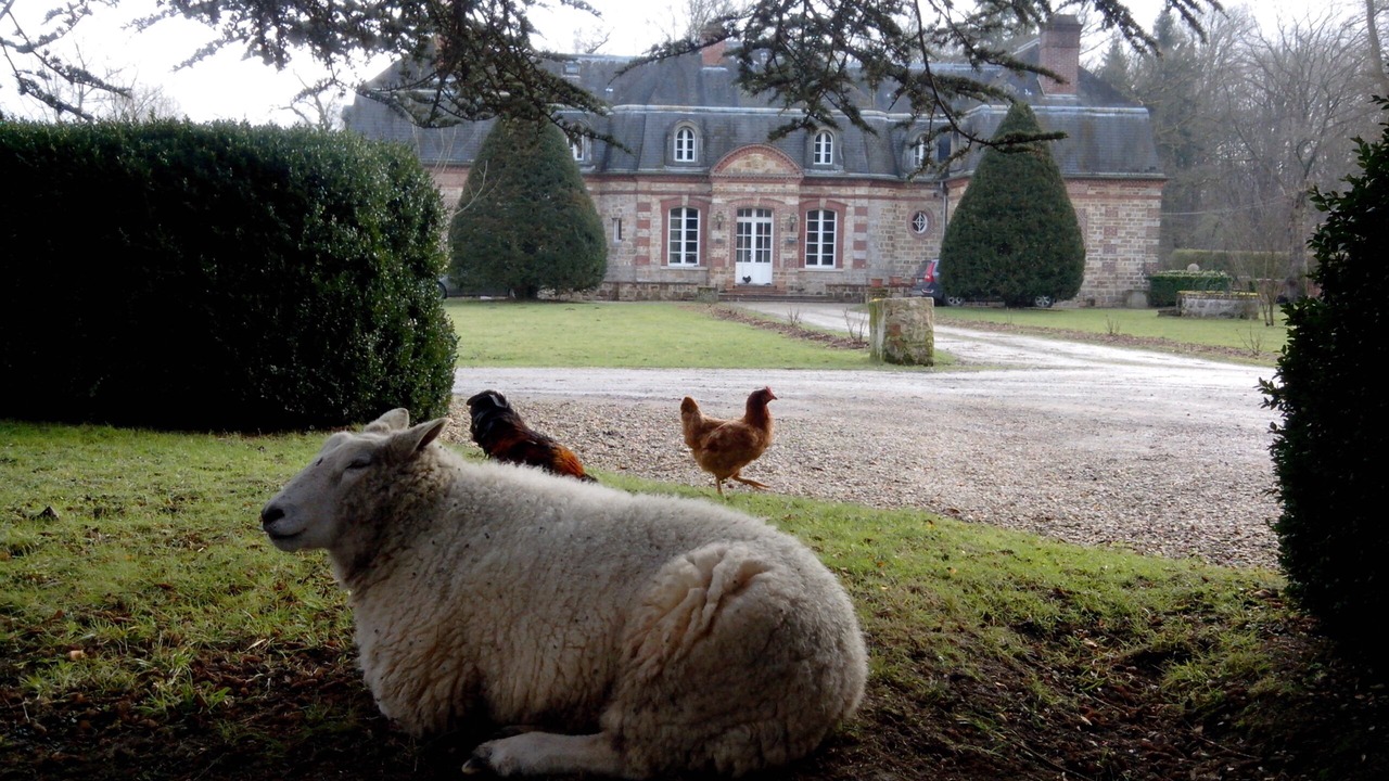 Photo of Outdoor in Neufmoutiers-en-Brie
