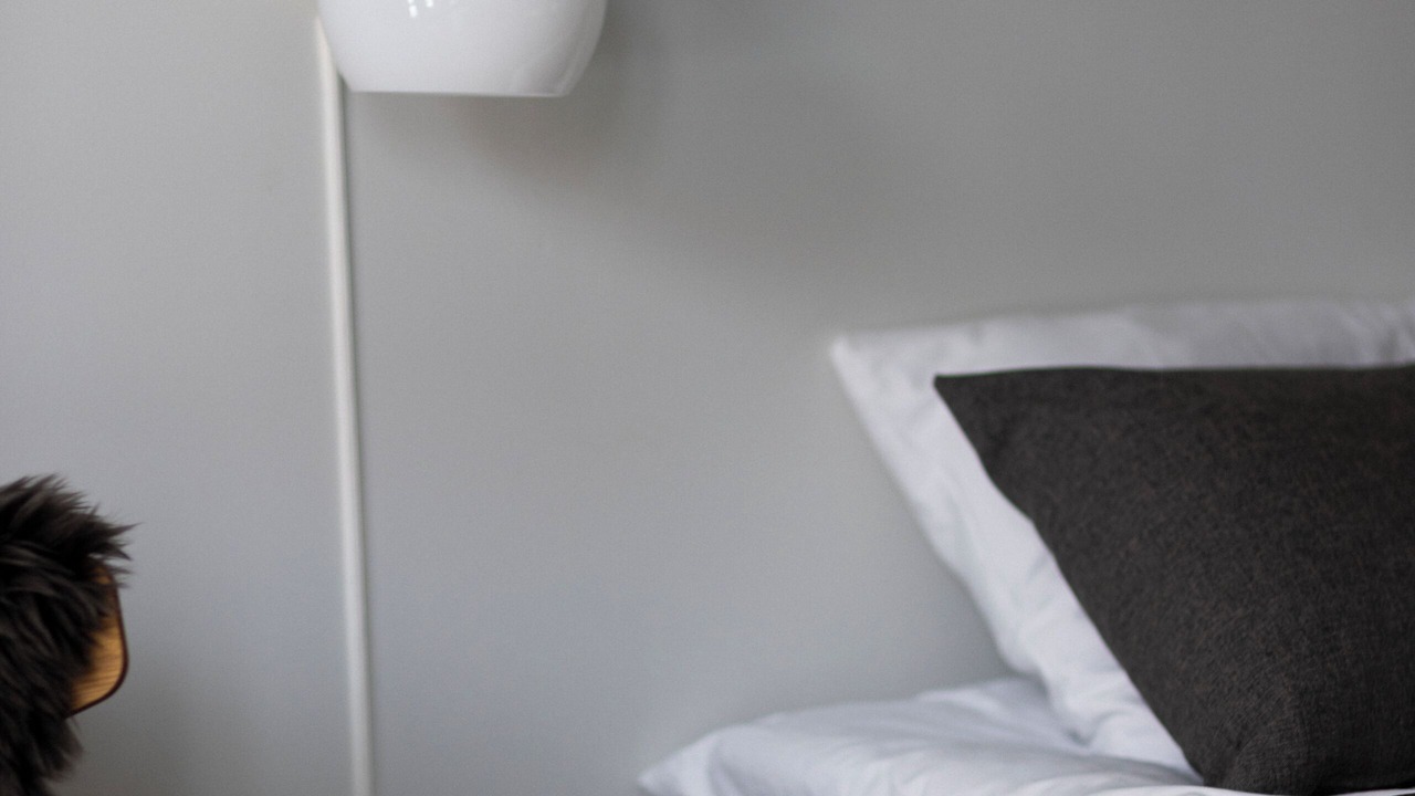 Photo of Others in Svaneke