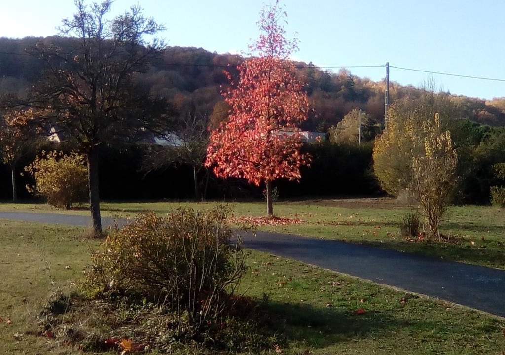 Photo of Outdoor in Neuilly