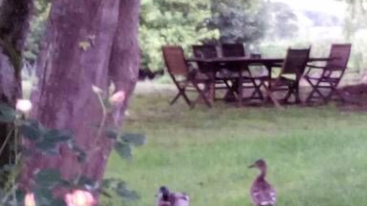 Photo of Outdoor in Neuilly