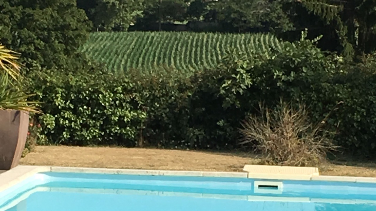 Photo of Outdoor in Haget