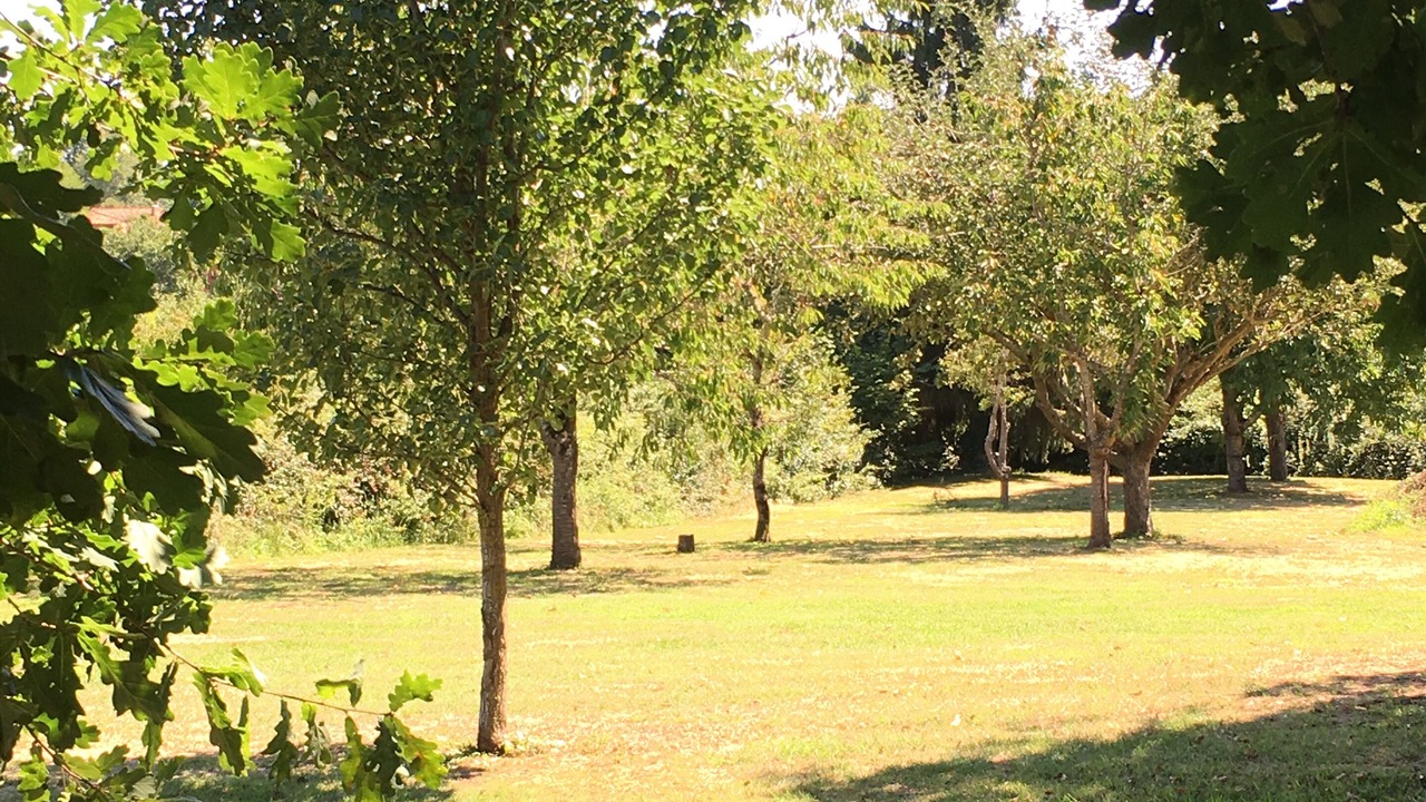 Photo of Outdoor in Haget