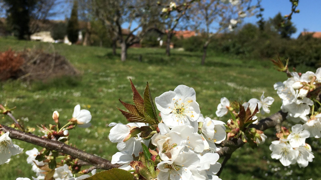 Photo of Outdoor in Haget