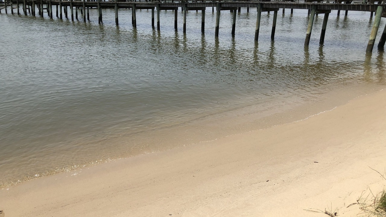 Photo of Others in Willoughby Spit