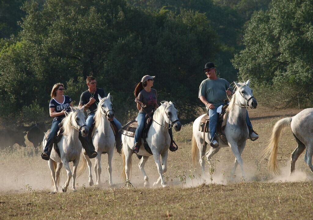 Photo of Others in Cat Spring