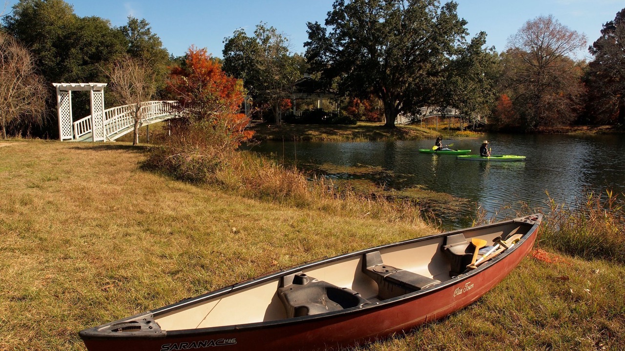 Photo of Outdoor in Cat Spring