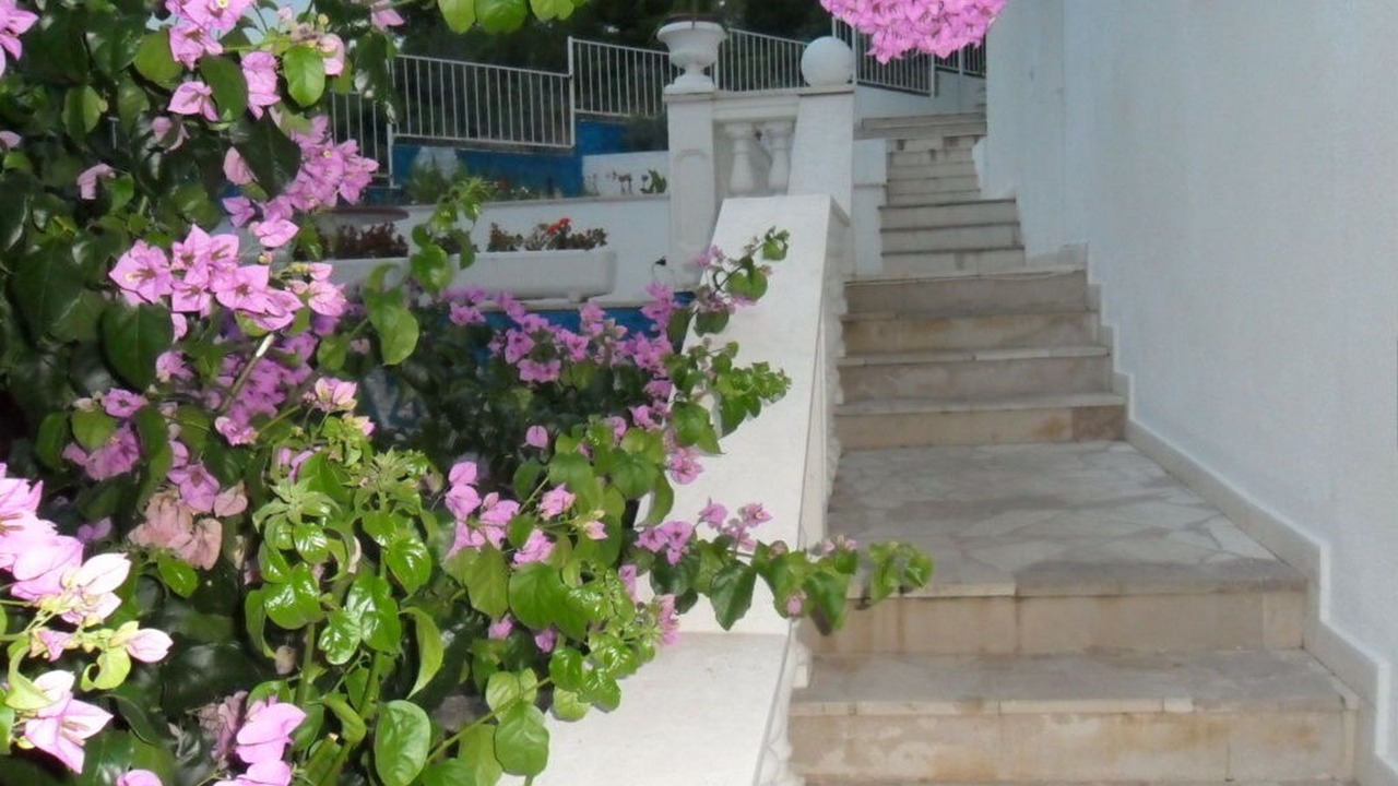 Photo of Outdoor in Mastrinka
