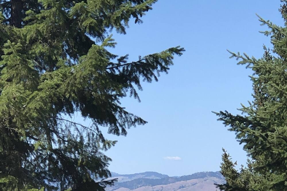 Photo of Others in Colville